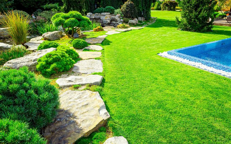 Création de jardin