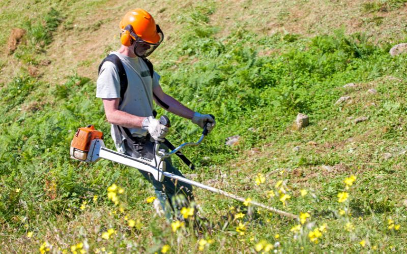 Faites appel à notre entreprise pour le nettoyage de vos terrains en friche