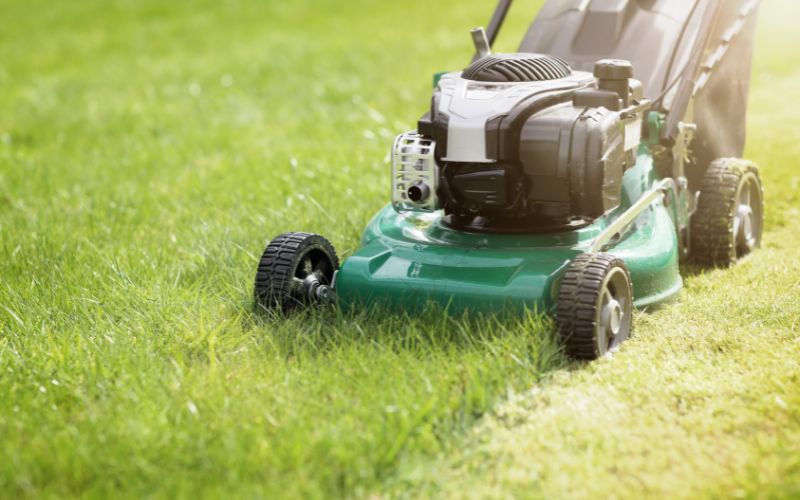 Confiez l’entretien de votre jardin à des paysagistes professionnels