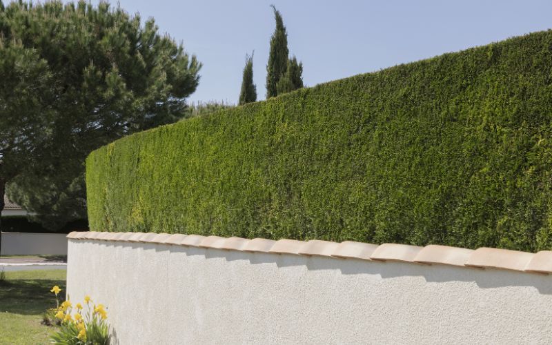 Des espaces verts bien entretenus